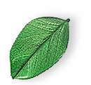 https://blagdom.bg/wp-content/uploads/2025/07/floating_leaf_01.png
